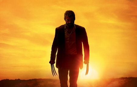 消失的她悬疑推理